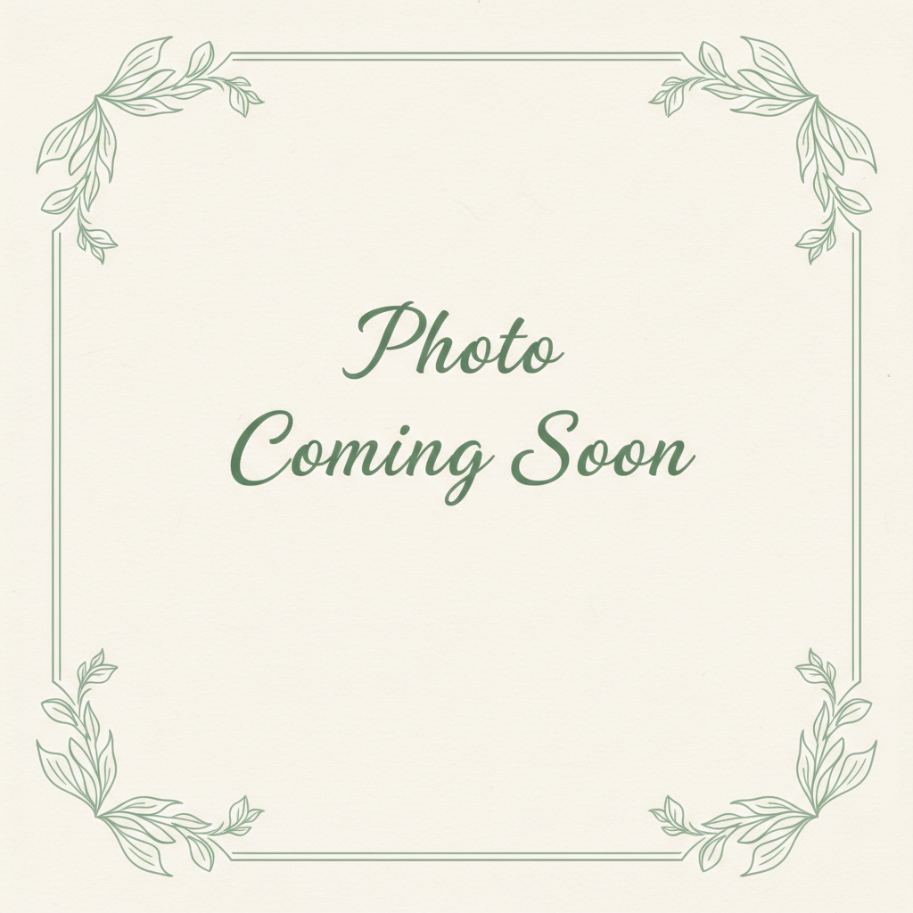 Bergamot & Hinoki 8oz Liquid Hand Soap